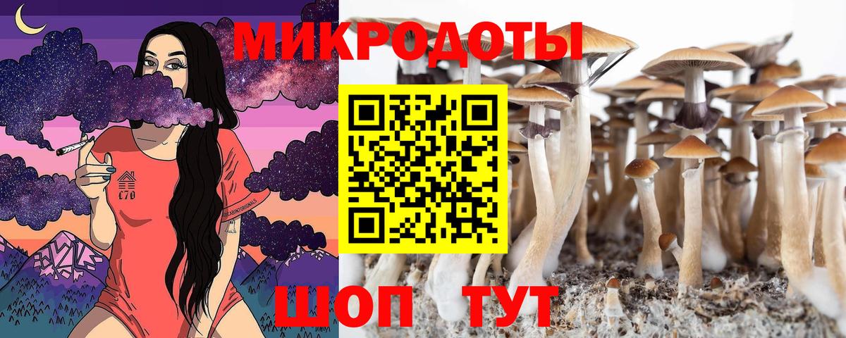 Галлюциногенные грибы Cubensis  Псилоцибиновые грибы мицелий  Нижневартовск  Вход с VPN 