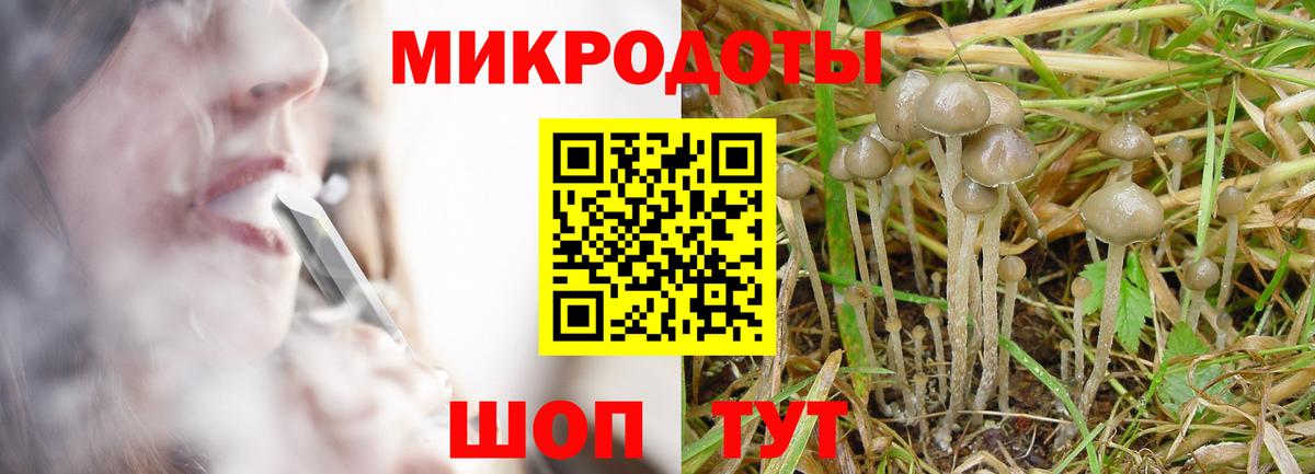 Галлюциногенные грибы Magic Shrooms Нижневартовск